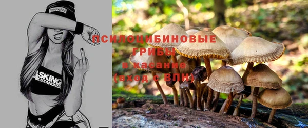 не бодяженный Мегион