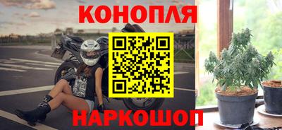 шишки Абакан