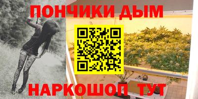 шишки Абакан