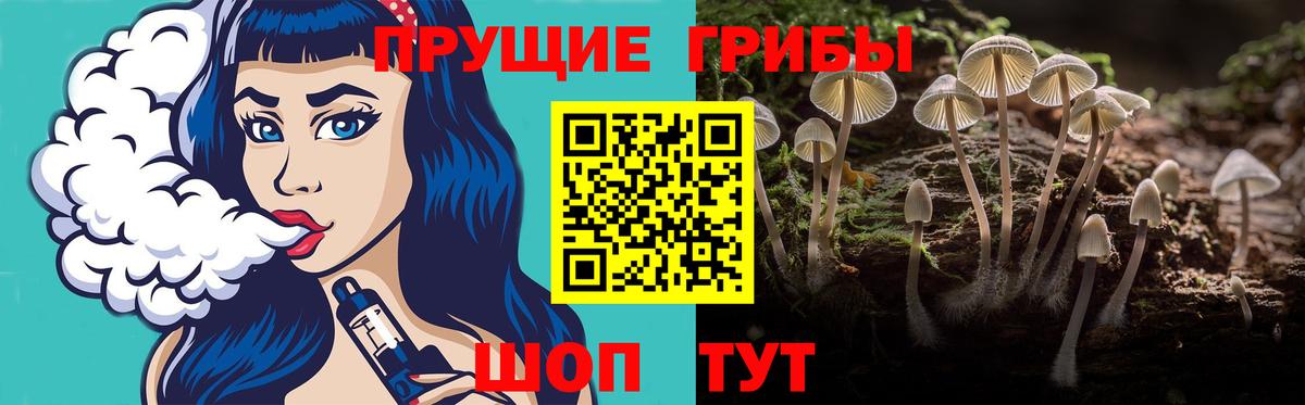 Псилоцибиновые грибы ЛСД Азнакаево