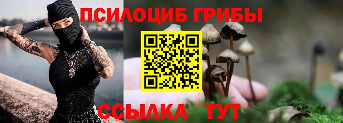 Галлюциногенные грибы Cubensis Азнакаево