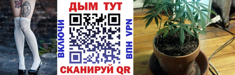Каннабис план Азнакаево