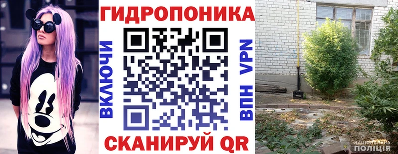 Бошки марихуана тримм  Азнакаево 